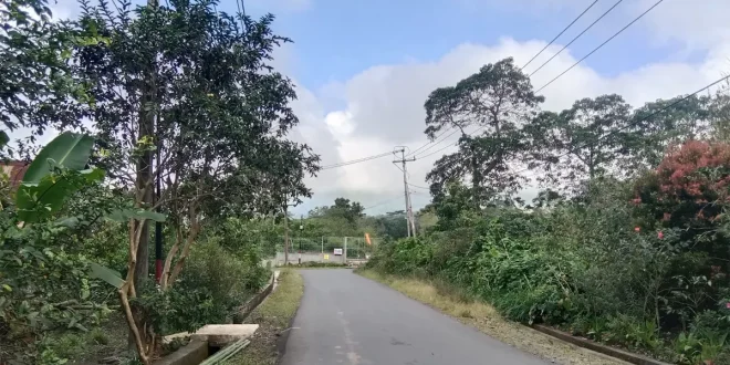 Pembangunan Infrastruktur Jalan PLTP Mataloko: Kunci Kemajuan Masyarakat