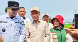 Pemerintah Dorong Pertanian Modern Demi Perkuat Swasembada Pangan Nasional