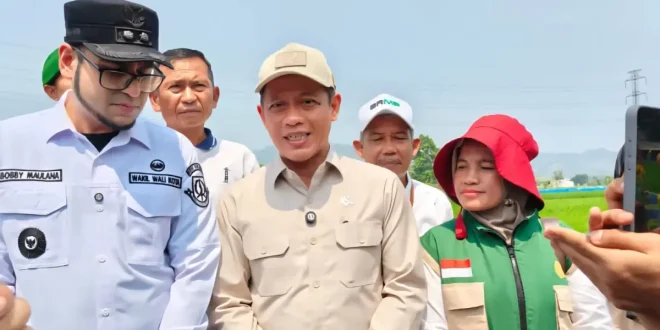 Pemerintah Dorong Pertanian Modern Demi Perkuat Swasembada Pangan Nasional