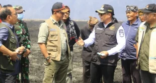Pemkab Probolinggo Tingkatkan Upaya Mitigasi Kebakaran Hutan dan Lahan Bromo