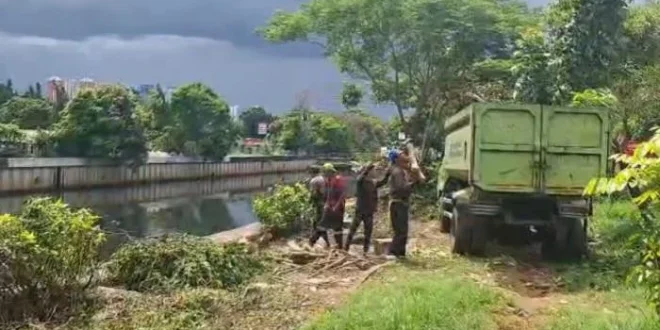Pemkot Bandung Segel Videotron Padel Setelah 10 Pohon Ditebang