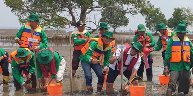 Pemprov Sumsel Manfaatkan Kelompok Kerja Mangrove untuk Lestarikan Pesisir