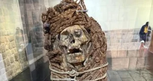 Penemuan DNA Virus Cacar Kuno pada Dua Mumi Alami di Chili Simpan Jejak Virus Cacar Kuno