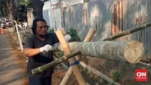 Perajin Pohon Pinang di Tangerang Kebanjiran Pesanan Jelang HUT ke-81: Meningkatnya Permintaan Pohon Pinang