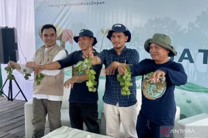Petambak Sepatin diajak tanam mangrove untuk pulihkan produktivitas tambak dengan inovasi terbaru