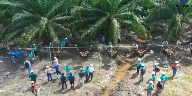 Politeknik Lamandau Ciptakan Kertas dari Gulma Kebun Sawit dengan Inovatif