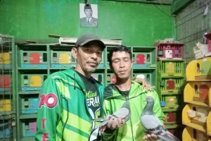 Posmeti Gelar Turnamen Merpati Tinggi Tomprang dalam Rangka HUT RI: Mengukir Sejarah di Langit