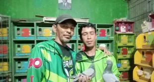 Posmeti Gelar Turnamen Merpati Tinggi Tomprang dalam Rangka HUT RI: Mengukir Sejarah di Langit