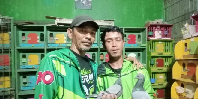 Posmeti Gelar Turnamen Merpati Tinggi Tomprang dalam Rangka HUT RI: Mengukir Sejarah di Langit