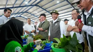 Presiden Prabowo Inisiaiasi Program ASRI untuk Penghijauan Nasional dengan 70 Juta Bibit Unggul