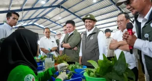 Presiden Prabowo Inisiaiasi Program ASRI untuk Penghijauan Nasional dengan 70 Juta Bibit Unggul
