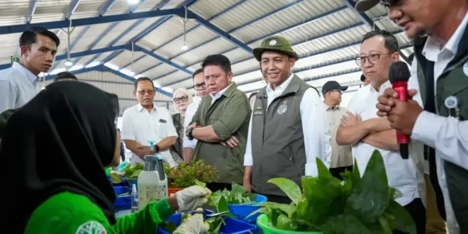 Presiden Prabowo Inisiaiasi Program ASRI untuk Penghijauan Nasional dengan 70 Juta Bibit Unggul