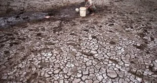 Puncak Kemarau 2026 Tiba, El Nino Besar Berpotensi Bertahan Hingga 2027