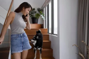 Sering Dipandangi Anjing Betina Mereka Sedang Menilai Kecerdasan Anda Cek Faktanya