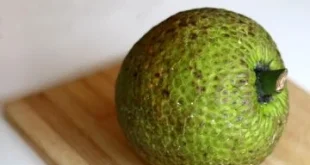 Sukun Berpotensi Jadi Superfood dengan Manfaat yang Luar Biasa