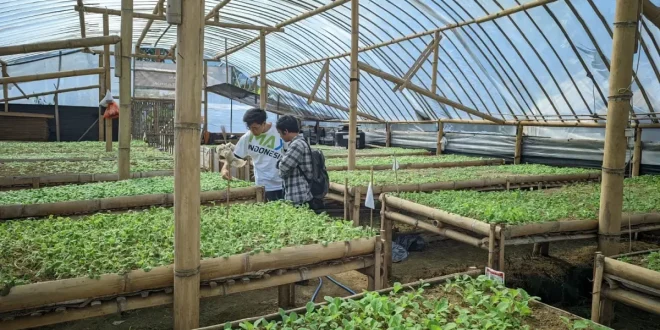 Transformasi Digital Mengubah Wajah Bisnis Agrikultur Tradisional