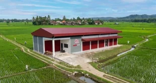 Utang Kopdes Merah Putih Rp240 Triliun Ditanggung APBN Cicilan Mulai September, Pemerintah Siap Menanggung Beban Keuangan