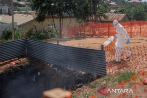 WHO dan Mitra Sepakati Strategi Tangani Ebola di RD Kongo: Langkah Strategis untuk Menghadapi Wabah