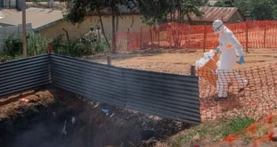 WHO dan Mitra Sepakati Strategi Tangani Ebola di RD Kongo: Langkah Strategis untuk Menghadapi Wabah