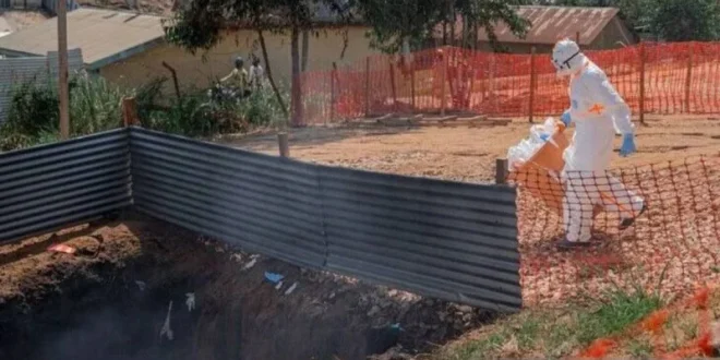 WHO dan Mitra Sepakati Strategi Tangani Ebola di RD Kongo: Langkah Strategis untuk Menghadapi Wabah
